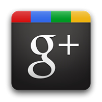 Google +1