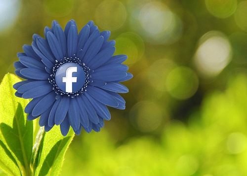 retargeting
