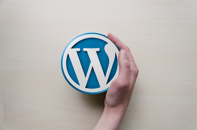 6 Essential WordPress plugins for your new website design