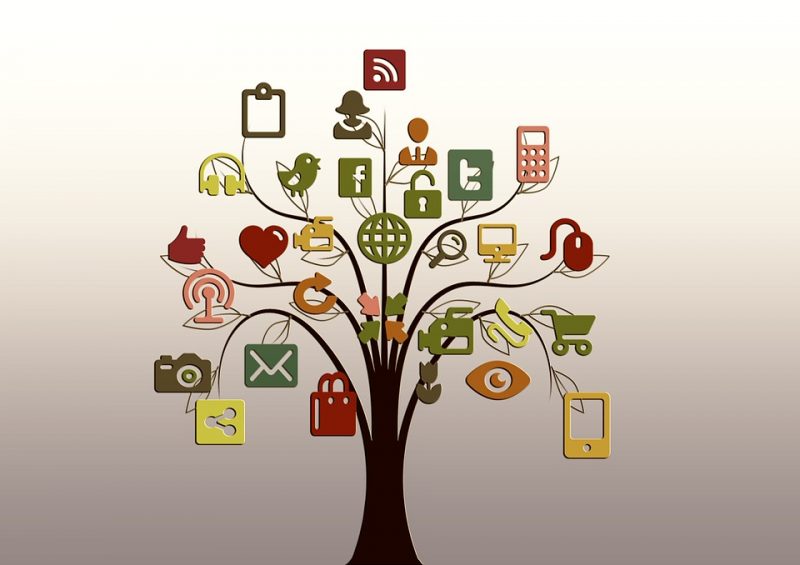 The Great Social Media Revolution