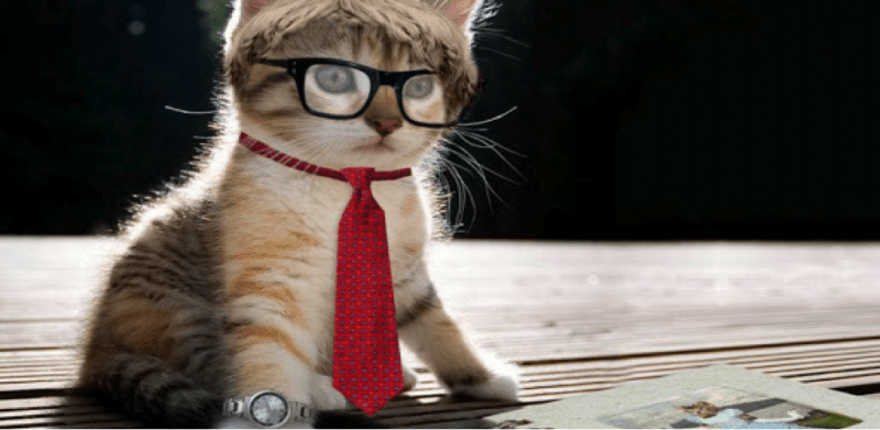 The importance of using images in your blog or content marketing