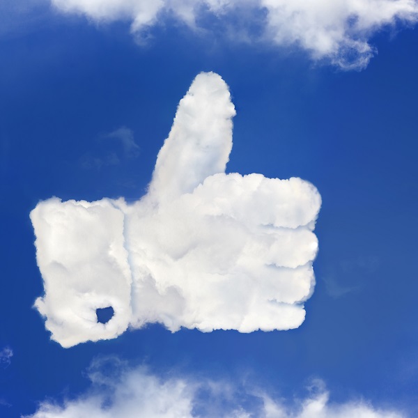 Setting Up a Facebook Business Page That Allows the Public to Engage With You (Or Not)